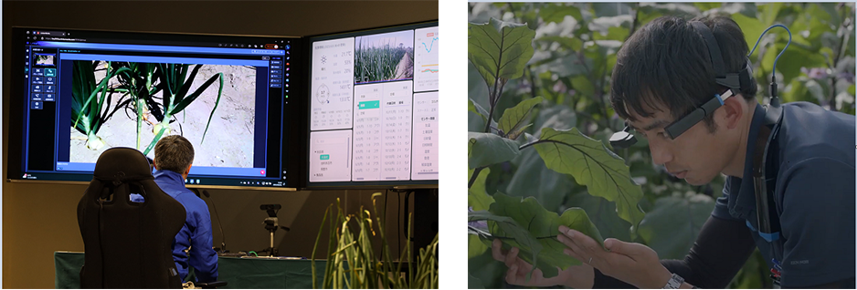 Image: NTT's approach to realizing smart agriculture