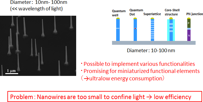 Fig.1  Semiconductor nanowires