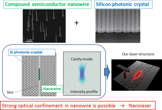 Fig.3  Nanowire-induced nanocavities