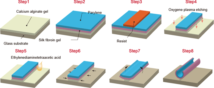 Fig. 1: Encapsulation of cells using the principle of thin-film self-assembly