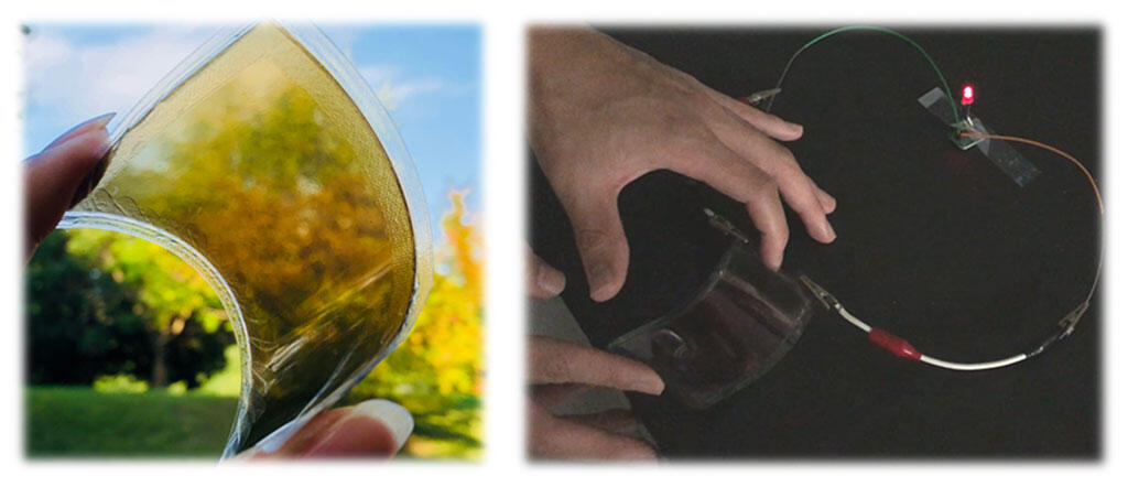 Figure 2. Transparent and flexible battery and LED lighting