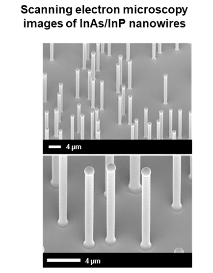 Scanning electron microscopy images of InAs/InP nanowires