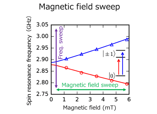 Fig. 4 Our experimental detected signals.