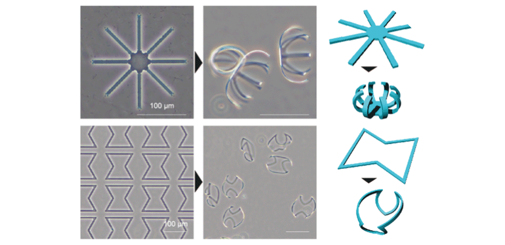 Figure 2. 3D self-folded structure formed from various 2D patterns