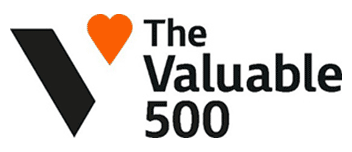 The Valuable 500