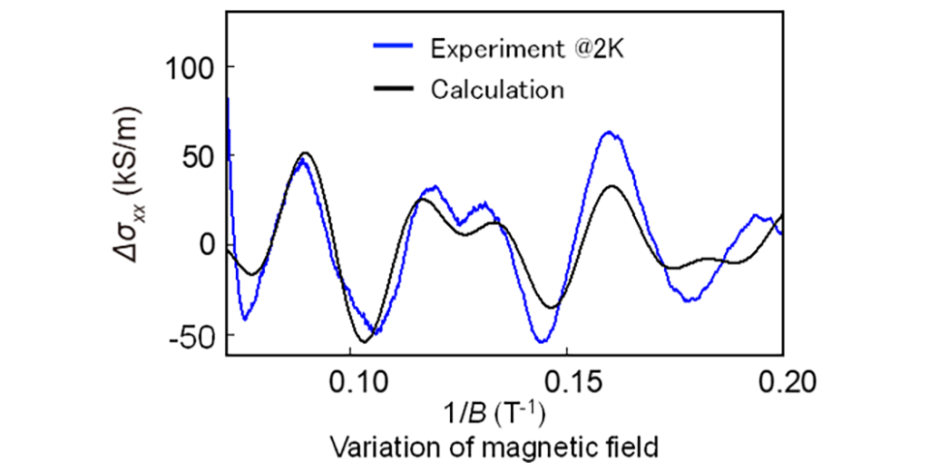 Figure 4. Quantum oscillations arising from the Weyl quasi-particles in SrRuO3 (blue solid line). Two oscillations with different frequencies are superimposed, reflecting the existence of two kinds of orbitals stemming from the magnetic Weyl semimetal state. The experimental result (blue) coincides well with the calculation result (black), where the effect of the Berry phase shift*18 is taken into consideration.