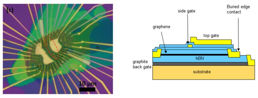 Fig. 6. (left) Micrograph of the sample used.