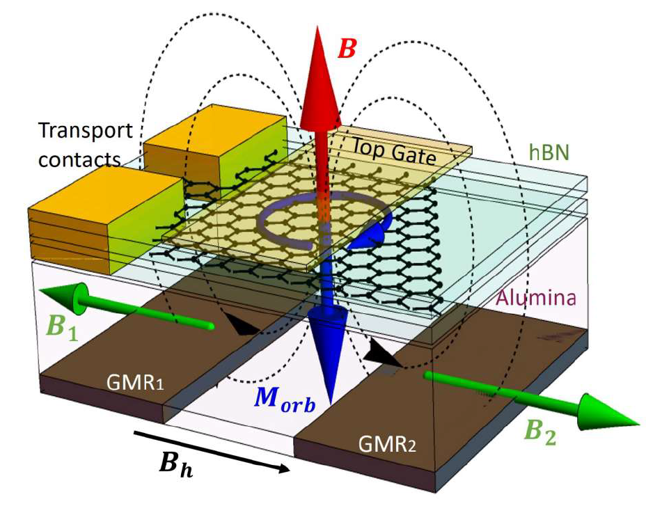 Schematic illustration of the study: Detection of divergent orbital diamagnetism in monolayer graphene by the GMR-based magnetic sensors.