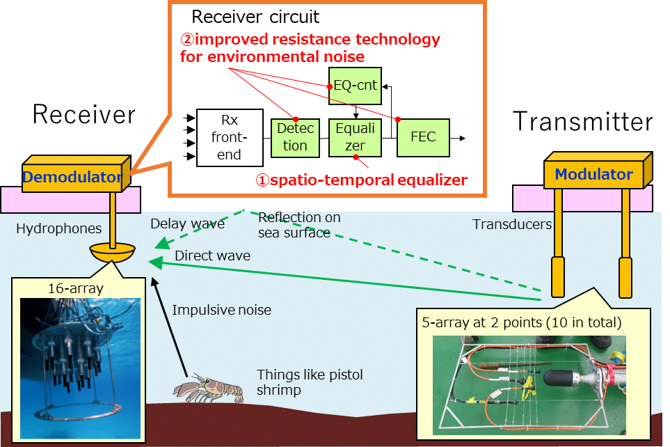 Fig. 1 Diagram of field experiments
