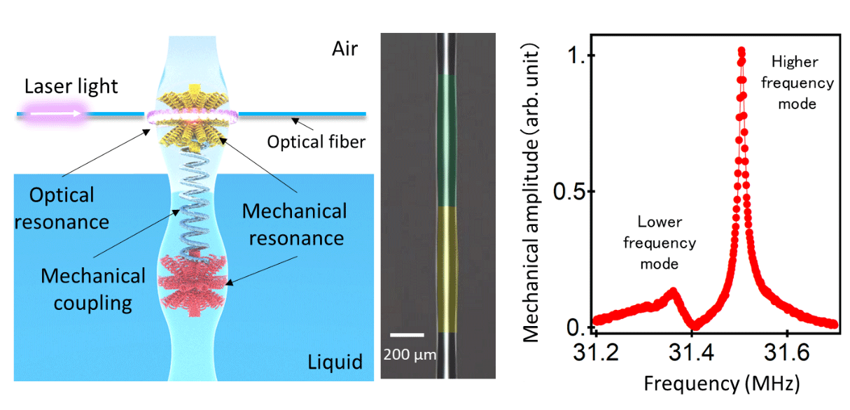 Fig. 1: Schematic view of the fabricated sensing device (left), optical microscope image of the device (center), and its mechanical vibration characteristics in liquid (right).