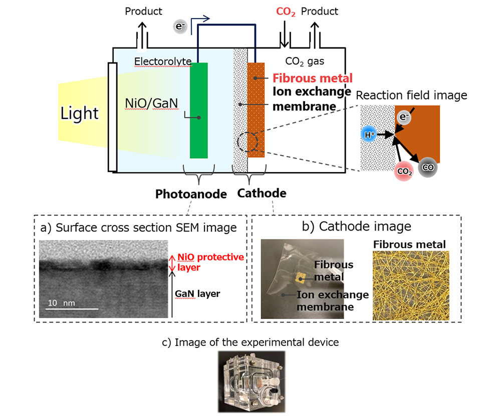 Figure 2 Schematic Diagram of the Artificial Photosynthesis Device