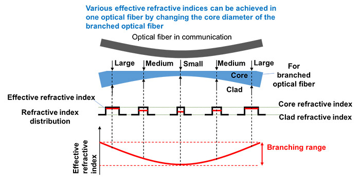 Figure 3 Structure of Branched Optical Fiber with Varying Core Diameter