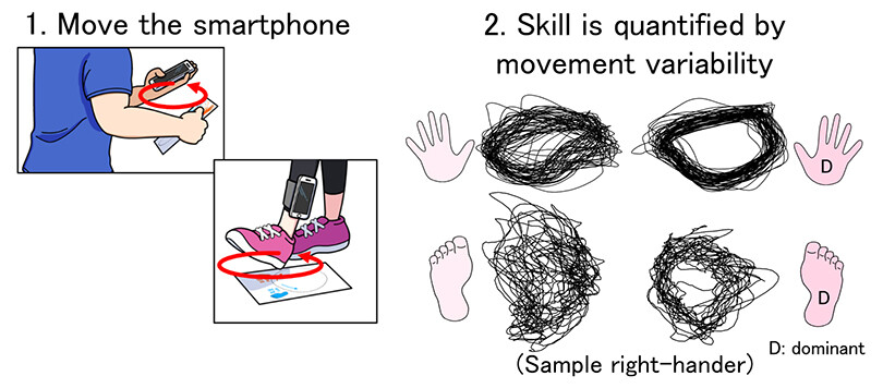 Figure 2 Visualization of the Movement Variability during Cyclical Movements of the Hands and Feet