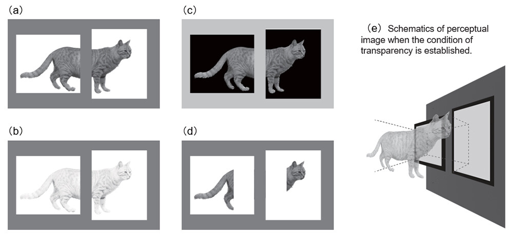 Figure 4 Example of brightness adjustment that causes transparent vision. (a) Before adjustment. (b) After adjustment. (c) Example of adjustment when the gap is light. (d) An example in which only the area around the gap is adjusted. (e) Schematics of perceptual image when the condition of transparency is established. Please refer to for the demonstration with cross viewing and parallel viewing.