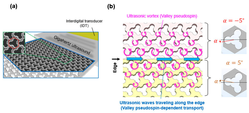 Figure 2 Schematic diagrams of electron micrograph of fabricated device (a) and ultrasonic waveguide (b) / Note. At the boundary (edge) between two regions with different pseudospin rotation directions (i.e., different topologies), there is no backscattering and stable propagation of ultrasonic waves. The internal holes are tilted 5° clockwise (yellow) and counterclockwise (pink).