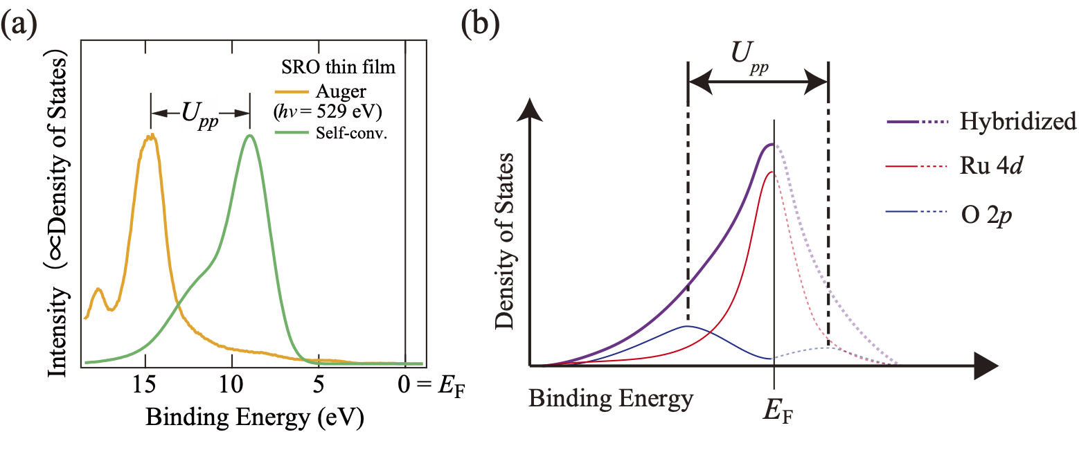 Figure 2 Electron Correlation of Oxygen in SrRuO3 (Upp) Note. (a) Estimation of electron correlation. Comparison between the Auger spectrum of oxygen (Orange, including electron correlation) and the self-convolution spectrum of the valence band (Green, no electron correlation). The peak energy difference reflects the magnitude of the electron correlation (Upp). The self-convolution spectrum is a spectrum obtained by converting the O 2p electronic state, which does not contribute to valence band hybridization, into a spectrum in the case of no electron correlation by self-convolution. (b) Schematic diagram of the Ru 4d-O 2p hybridized electronic state considering Upp. Due to the strong electron correlation of oxygen, the density of states (DOS) at the EF of O 2p PDOS (blue) decreases to nearly zero, which is close to an insulator state.