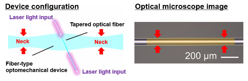 Figure 2 Schematic of the fiber-type optomechanical device and its optical microscope image. The orange region in the microscope image shows the fiber-type optomechanical device with a neck (red arrow).