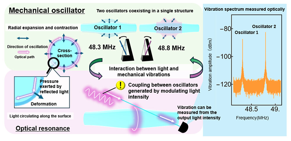 Figure 3 Conceptual diagram of the interaction between light and mechanical vibrations in the fiber-type optomechanical device.