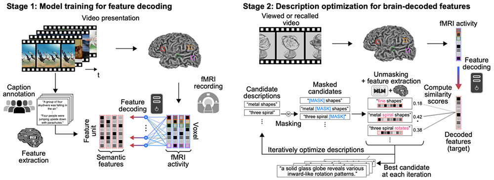 Figure 2 Text generation from brain activity using Mind Captioning.