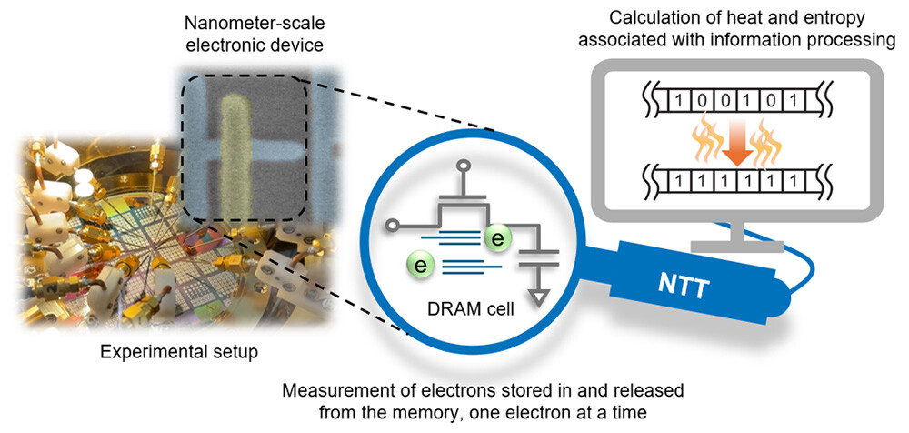 Figure 1. Overview of this study.