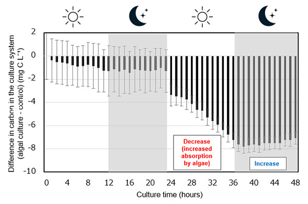 Figure 5. Change in the amount of carbon in the culture system over time under alternating light and dark periods. Negative values indicate that the amount of carbon in the culture system was lower in the algal culture than in the control.