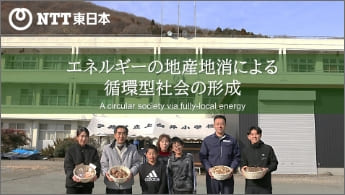 Image of ”A circular society via fully-local energy”