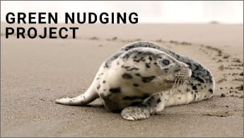 Image of ”Green Nudging”