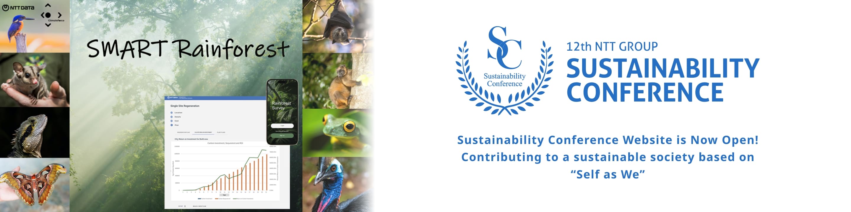 Image of “SMART Rainforest“