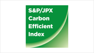 S&P/JPX Carbon Efficient Index