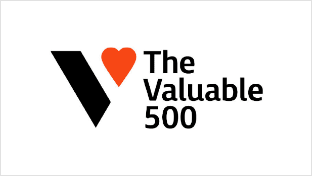 The Valuable500