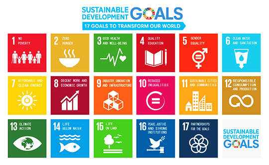 SUSTAINABLE DEVOLOPMENT GOALS