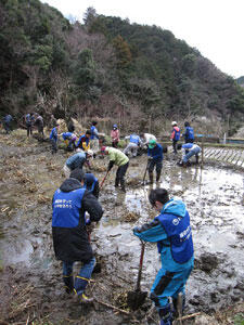 棚田作業（マコモダケの株の掘り起こし）