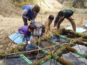 自然観察（里山に住む生物を採集）