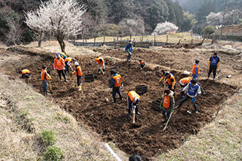マコモダケの地下茎を撤去します