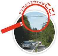 Image Photo