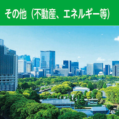 その他（不動産、エネルギー等）