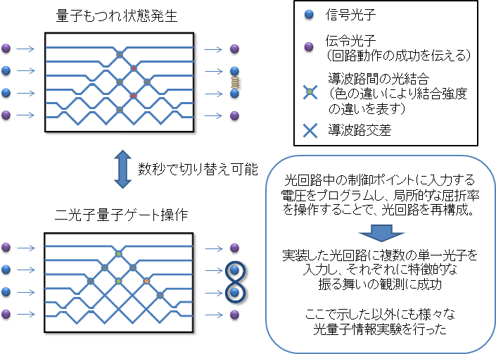 図2　実装した量子情報処理用素子の例（イメージ）