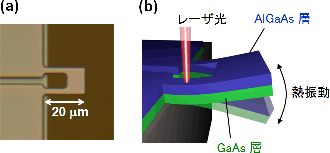 図1　実現したメカニカル振動子の構造