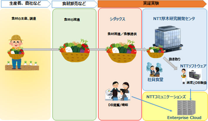 図1　実証実験の流れ