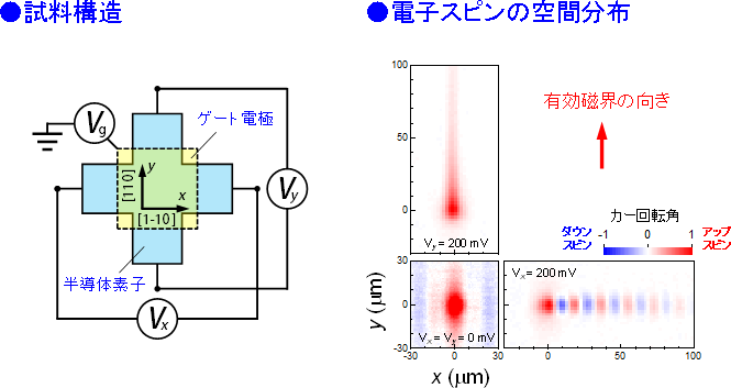 図4．永久スピンらせん状態におけるドリフトスピンの空間分布