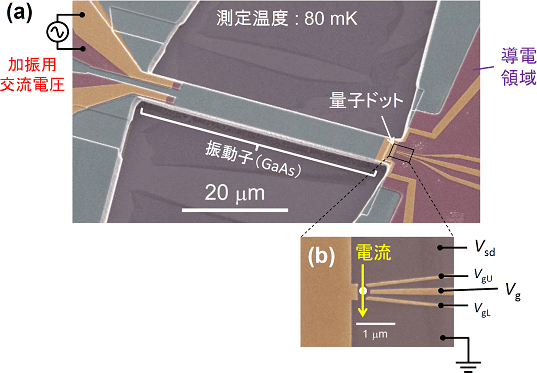 図1 作製したメカニカル振動子の構造