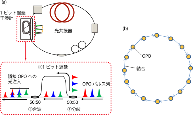 図5：1次元スピンネットワークの模擬。