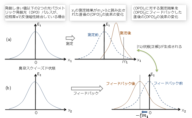 図6：測定フィードバックによる波束の収縮
