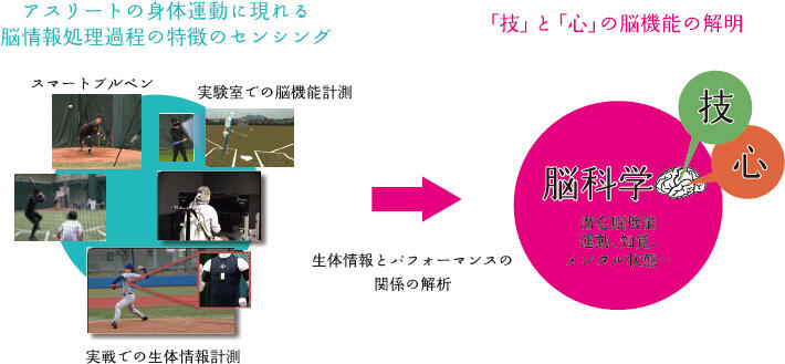 図2．SBSプロジェクトの取り組み