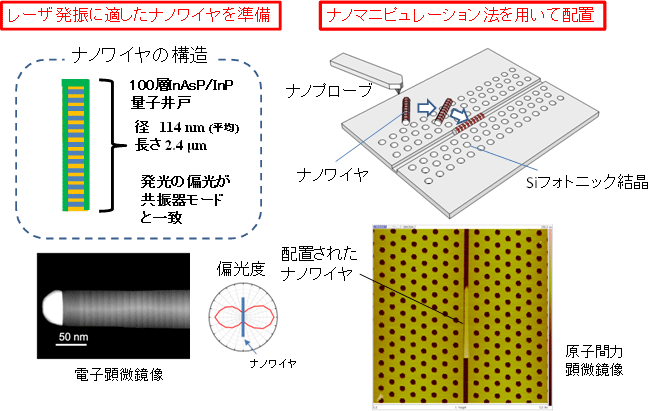図4　本研究におけるナノワイヤレーザの作製手法