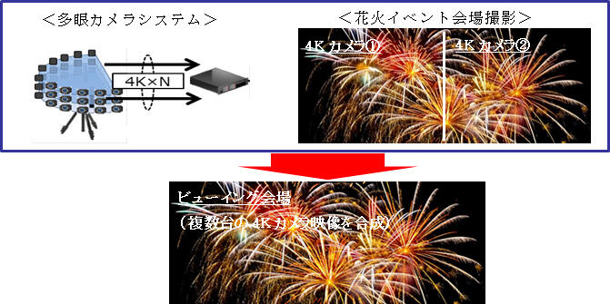 1．パブリックビューイング実施概要
