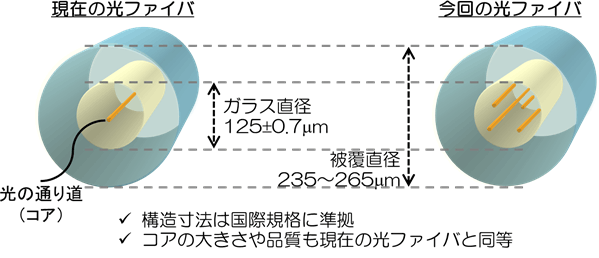 図1　今回のマルチコア光ファイバの特長