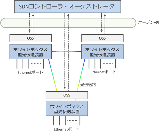 共同実験の概要