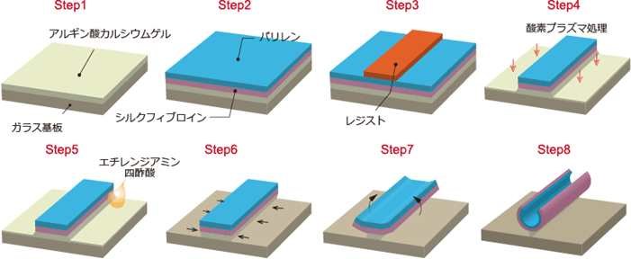 図2：自己組み立てを行う薄膜の作製工程