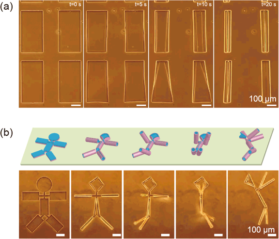 図3：二次元薄膜を用いた任意の形状の立体構造の作製